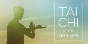 tai chi banner