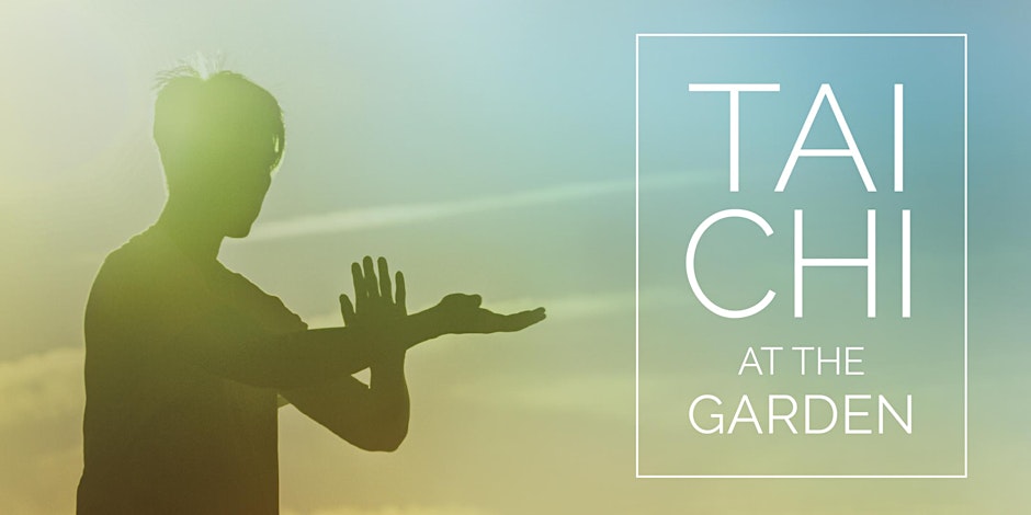 tai chi banner