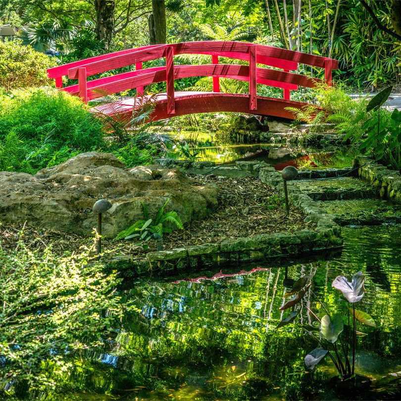 botanical gardens