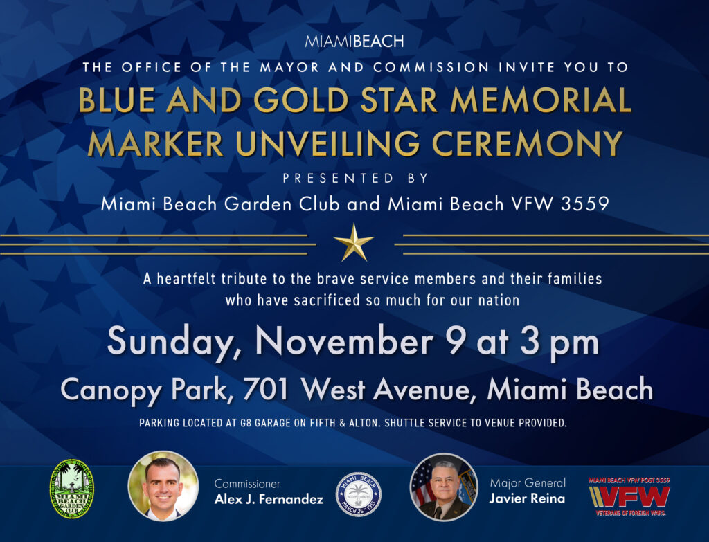 Blue and Gold Star Flyer