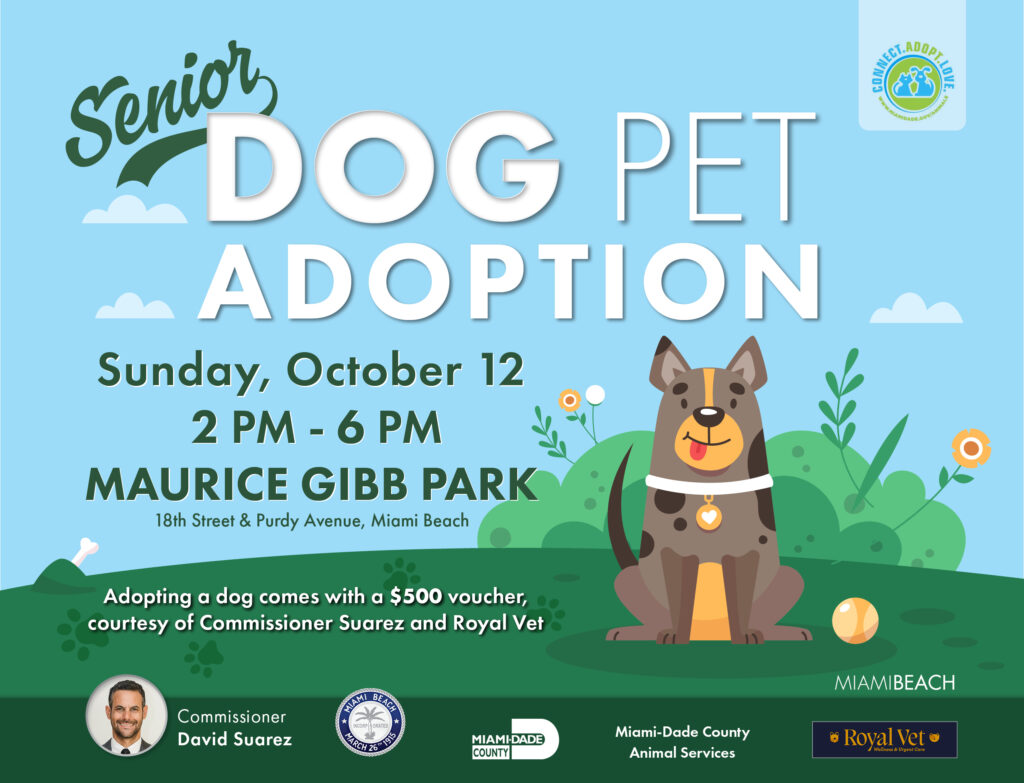 Senior Dog Pet Adoption Event Flyer