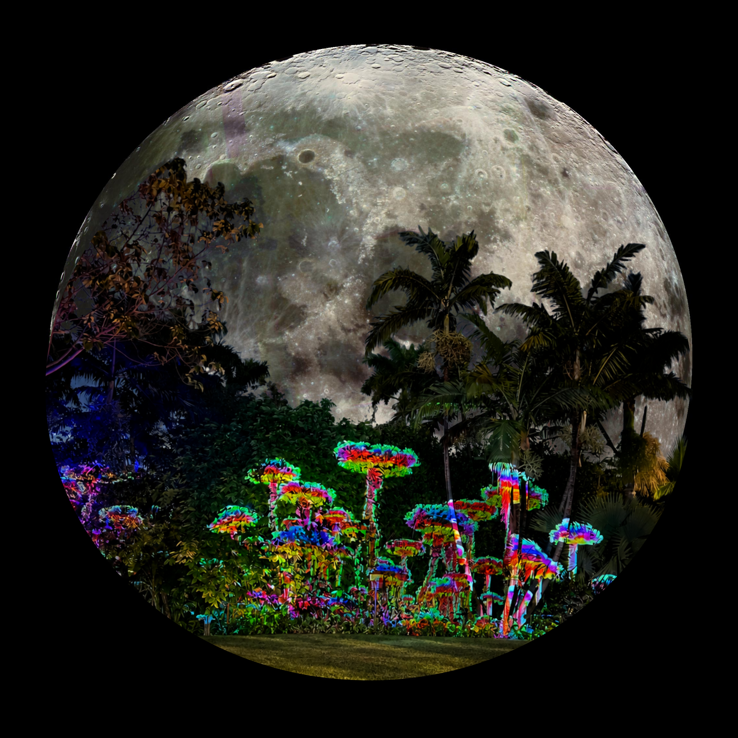 flyer of a full moon